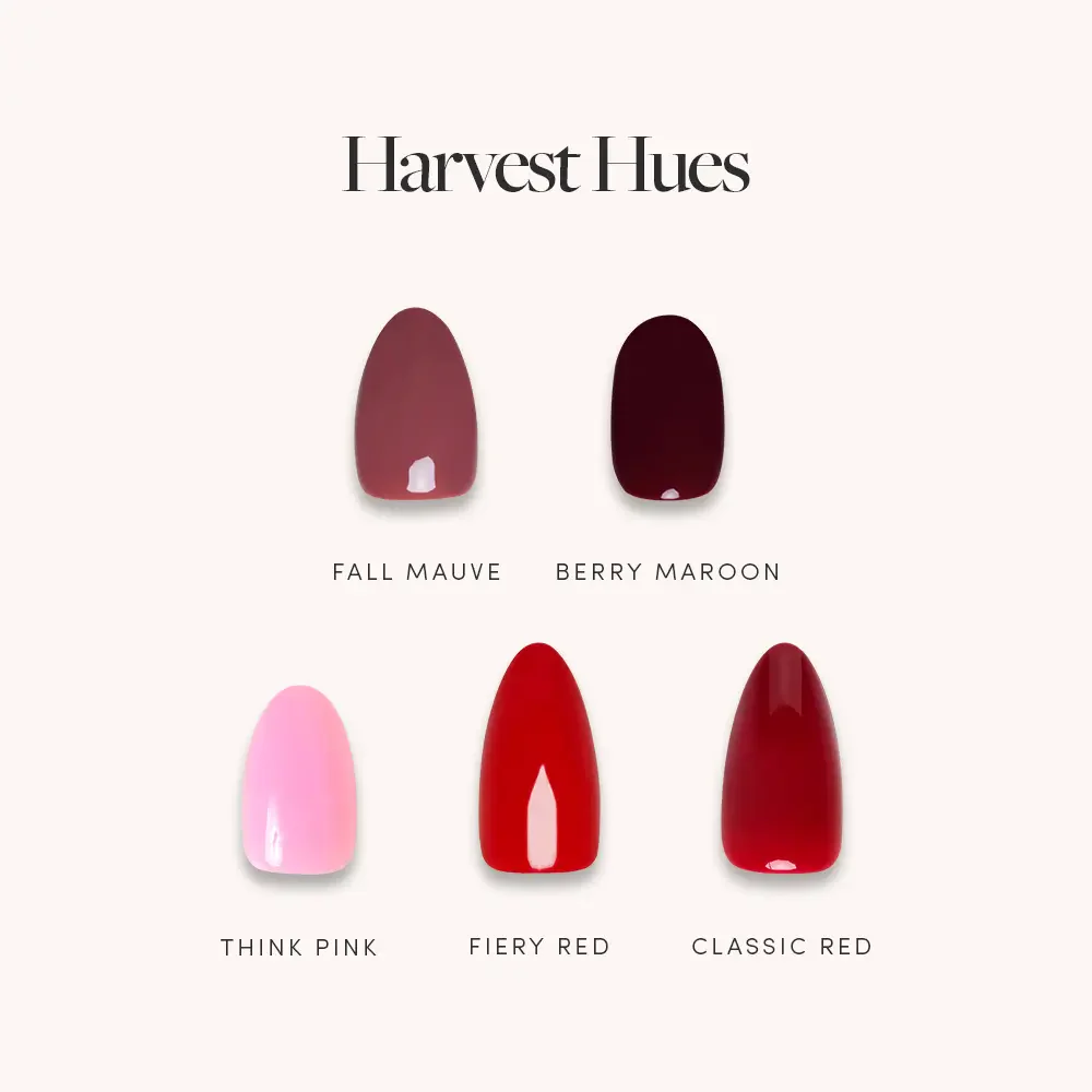 Harvest Hues