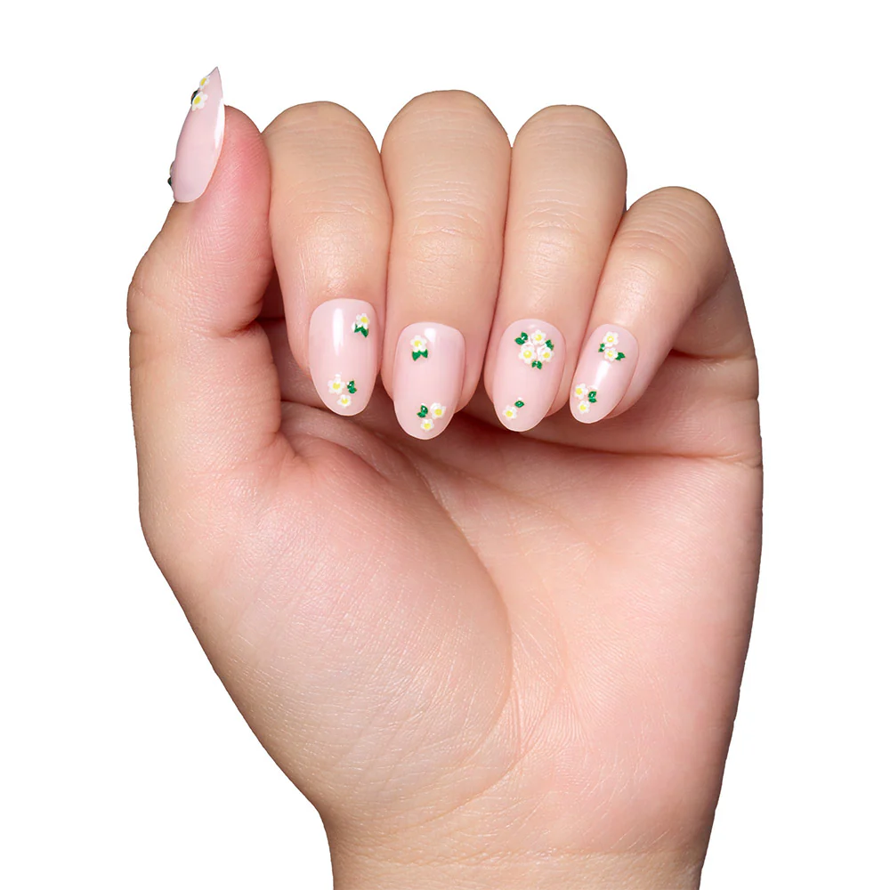 Petals - Image 4